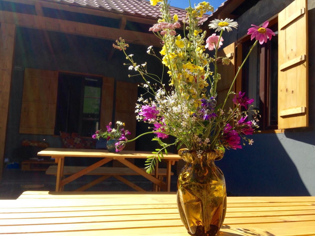 Sno House In Kazbeg Hotel ภายนอก รูปภาพ