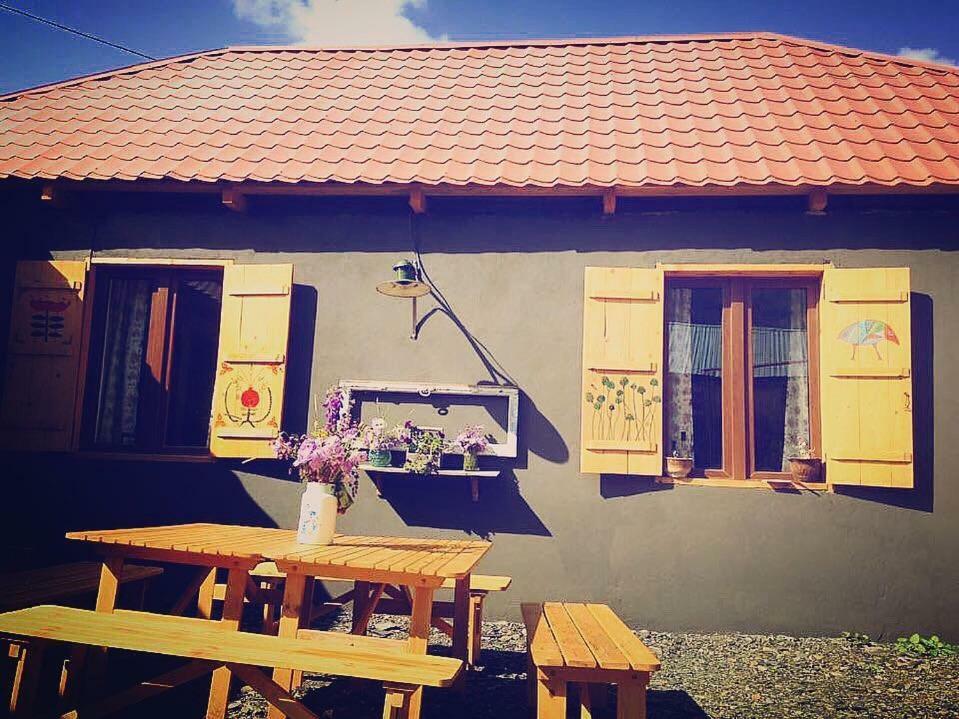 Sno House In Kazbeg Hotel ภายนอก รูปภาพ